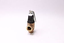 Cash Acme Safety Relief Valve F-82 picture