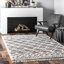 nuLOOM Ansley Soft Lattice Textured Tassel Area Rug in Grey Modern/Contemporary picture