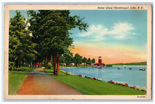 1941 Scene Along Chautauqua Lake New York NY Dewittville NY Vintage Postcard picture