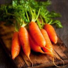 Little Fingers Carrot Seeds, Baby Carrot, Nantes Type, NON-GMO,  picture
