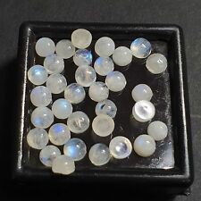 Natural Rainbow Moonstone Cabochon Round Loose Gemstone Lot 100 Pcs 6 MM 100 CT picture