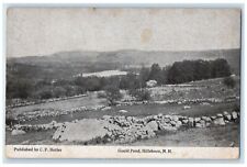 1921 Gould Pond Exterior View Hillsboro New Hampshire Vintage Antique Postcard picture