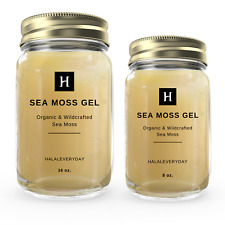 Sea Moss Gel - (Unflavored) 100% Pure Raw Wildcrafted Irish Natural Superfood picture