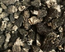 Dried Wild Conica Morel Mushrooms from Oregon, Wild Crafted 2023 Crop picture