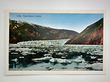 Vintage Alaska Postcard - Taku Glacier, Taku Inlet, AK, NOS New Old Stock picture