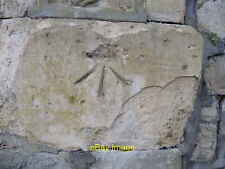 Photo 12x8 Fernbank road benchmark Bristol This poor fellow has had some w c2021 picture