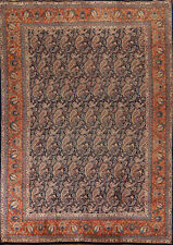 Vintage Navy Blue/ Rust Paisley Kashmar Wool Hand-knotted Living Room Rug 10x13 picture