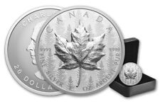 2024 Canada Pulsating Forest Maple Leaf 1 Oz Silver Ultra High Relief $20 Coin picture