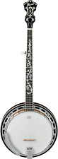 B200 5 String Banjo W/Basswood Rim picture