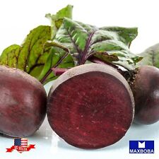 Beet Seeds - Ruby Queen Non-GMO, Heirloom Garden Vegetable / Fresh picture