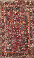 Semi-Antique Tribal Vegetable Dye Kashkoolii Shiiraaz Rug 5x8 Hand-made Wool Rug picture