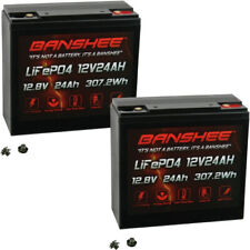 Banshee 12V 24AH Lithium Battery Compatible with lcr-12v17p, wp18-12 - 2 Pack picture