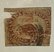 RARE 1852/1857 CANADA 3D NORTH AMERICAN BEAVER IMPERF STAMP picture