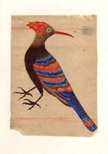Miniature Painting of a Bird done on Antique Paper | Miniature Art for Home picture