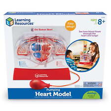 Pumping Heart Model - 1 Piece, Grades 3+ | Ages 8+ Educational Science Kit, picture