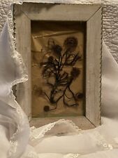 Victorian Hair Art In Vintage Frame picture