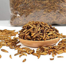 Lot Bulk Dried BSF Mealworms for Wild Birds Food Chickens Hen Fish Treats Food  picture