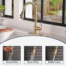 Clihome Vintage Single Handle Kitchen Faucet Pull Down Sprayer with Brush picture