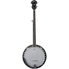 Washburn 5-String Banjo picture
