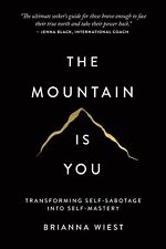 The Mountain Is You: Transforming Self-Sabotage Into Self-Mastery picture