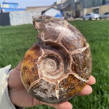 850g Natural Ammonite Fossil Quartz Crystal Specimen Reiki Healing picture