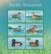 Palau 2018 - Birds Pacific Waterfowl Ducks - Sheet of 6 Stamps Scott #1413 - MNH picture