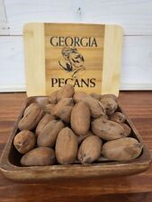 2023 Crop Schley (Papershell) In-Shell Pecans 5lb bag  picture