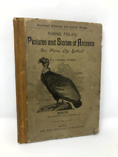 Antique Young Folks Pictures and Stories of Animals 1887 Sanborn Temey picture