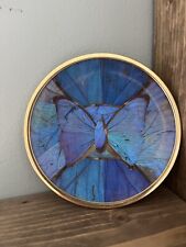 Brazilian Vintage Blue Morpho Butterfly Wing Plate Art Wall Hanging Decor picture