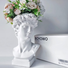 David Statue Greek Wedding Bust Face Vase Head Art Deco Cute Room Decor Aestheti picture