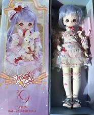 DBS Icy Fortune Days Anime Style 1/4 BJD Match Girl 16