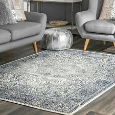 nuLOOM Transitional Delores Area Rug in Blue picture