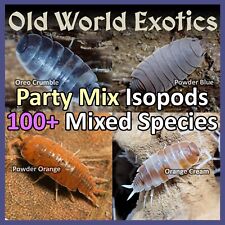 *FREE SHIPPING* 100+ Premium Party Mix Isopods - 4 Types Of Isopods BIG BUNDLE picture