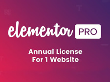 Activate Elementor Pro License with 1 Year updates picture