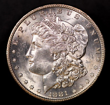1881 S Morgan Silver Dollar Fresh from an original collection-LOT AA 7804 picture