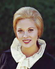 Faye Dunaway elegant 1960's portrait 16x20 Canvas Giclee picture