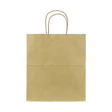 Karat Malibu (Large) Paper Shopping Bags - Kraft - 250 ct, FP-SB120 picture