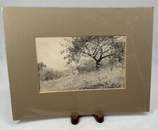 ThriftCHI ~ Matted Charcoal On Paper Meadow Tree Scene Original Art picture