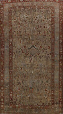 Pre-1900 Antique Bakhtiari Vegetable Dye Rug 13x19 Palace Size Hand-made Carpet picture