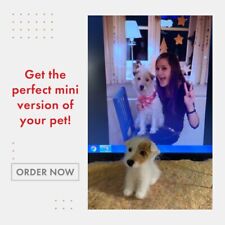 Personalized Miniature Dog, Ooak Miniature dog, needle felted dog, Custom order picture