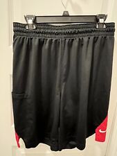 Erie Bayhawks NBA G League Throwback Dri Fit Shorts Large With Pocket picture