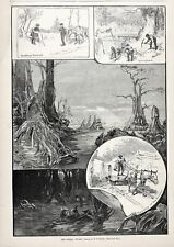 Great Dismal Swamp NWR, Lake Drummond, Virginia, No Carolina 1880s Antique Print picture