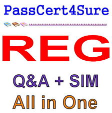 AICPA CPA Regulation REG Exam Q&A+SIM picture