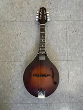 The Loar A-style Model LM-110-BRB with gig bag picture