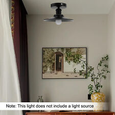 Vintage Industrial Ceiling Light Outdoor Pendant Lamp Rustic Chandelier Fixture picture