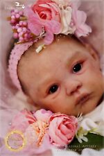 Studio-Doll Baby  GIRL reborn Meadow by Andrea Arcello 18 inch picture