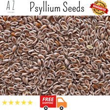 Organic Dried Whole Psyllium Seeds Plantago Indica بذور القاطونة picture
