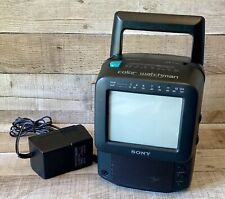 Sony Watchman Portable Color TV FDT-5BX5 TV AM/FM Tuner Tested Working picture