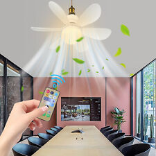 Large Ceiling Fan E27 Socket Fan 30W with Dimmable LED Light Remote Controller picture