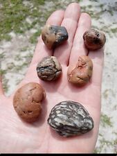 Lot of 6 Stunning BUBBLEGUM AGATES Mineral Specimens G4 picture